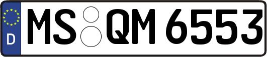 MS-QM6553