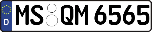 MS-QM6565