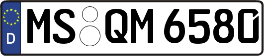 MS-QM6580
