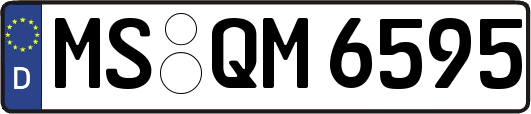 MS-QM6595