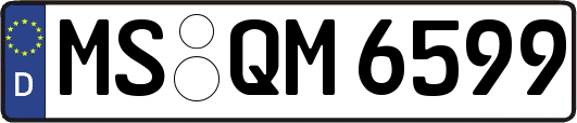 MS-QM6599