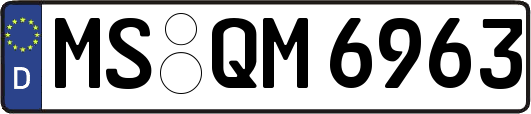 MS-QM6963