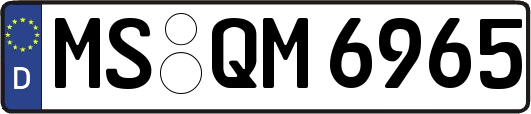 MS-QM6965