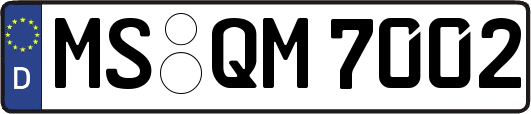MS-QM7002