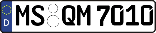 MS-QM7010