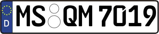 MS-QM7019