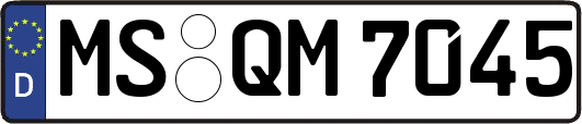 MS-QM7045