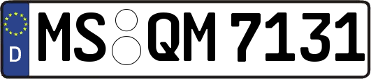 MS-QM7131