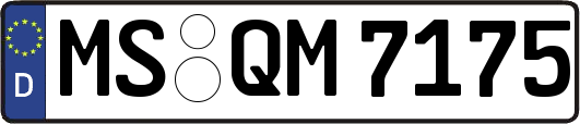 MS-QM7175