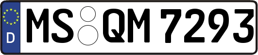 MS-QM7293