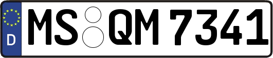 MS-QM7341