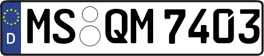 MS-QM7403