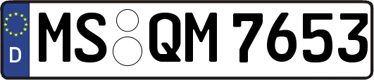 MS-QM7653