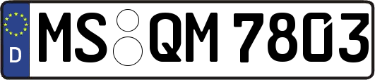 MS-QM7803