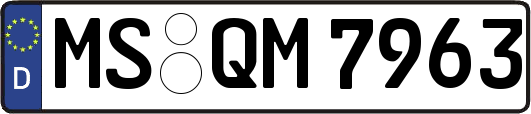 MS-QM7963