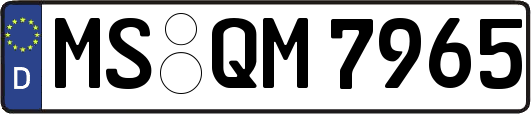 MS-QM7965
