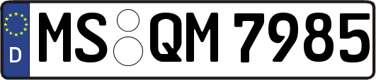 MS-QM7985
