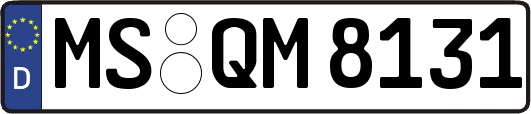 MS-QM8131