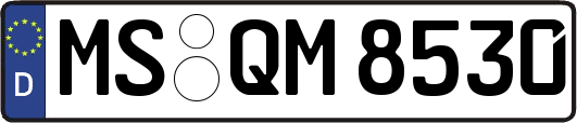 MS-QM8530
