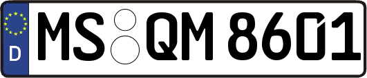 MS-QM8601