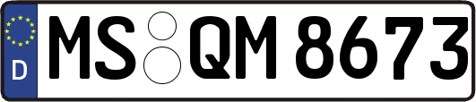 MS-QM8673