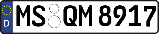 MS-QM8917