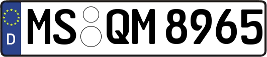 MS-QM8965