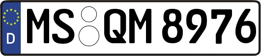 MS-QM8976