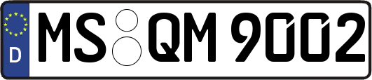 MS-QM9002