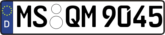 MS-QM9045