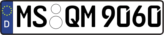 MS-QM9060