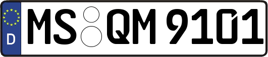 MS-QM9101
