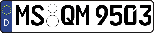 MS-QM9503