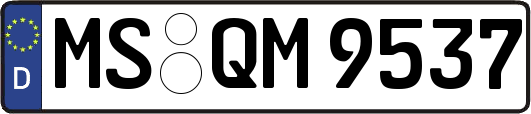 MS-QM9537