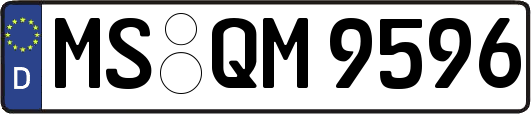 MS-QM9596