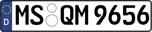 MS-QM9656