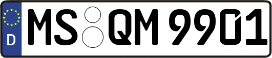 MS-QM9901