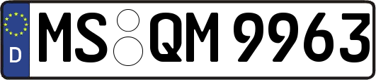 MS-QM9963