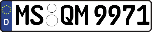 MS-QM9971
