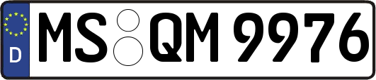 MS-QM9976