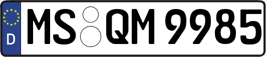 MS-QM9985
