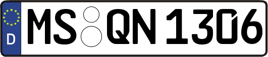 MS-QN1306