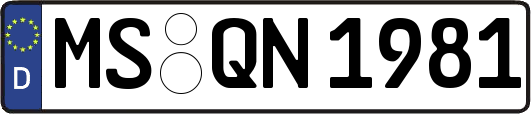 MS-QN1981