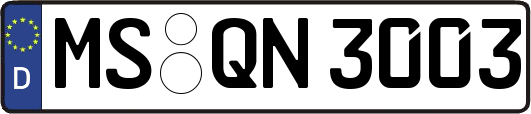 MS-QN3003