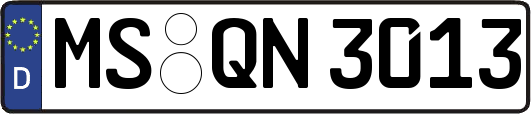 MS-QN3013