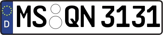 MS-QN3131