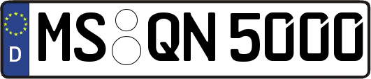 MS-QN5000