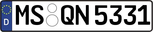 MS-QN5331