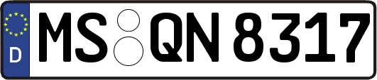 MS-QN8317