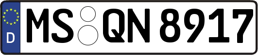 MS-QN8917